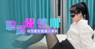 性世界 职场潜规则 秘书五套插入调教 - coolhotav