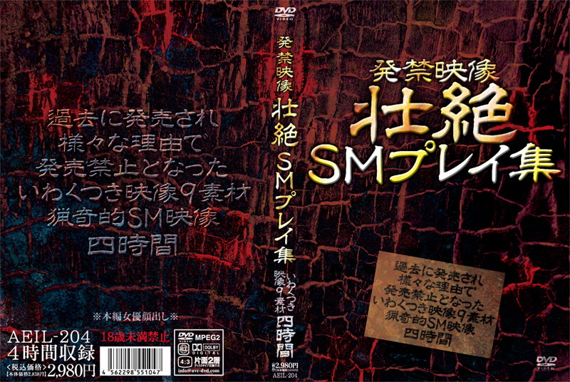    aeil00204 発禁映像 壮絶SMプレイ集 - coolhotav