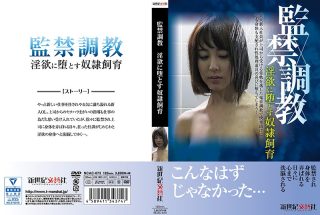    监禁调教 淫欲に堕とす奴隷饲育！ - coolhotav